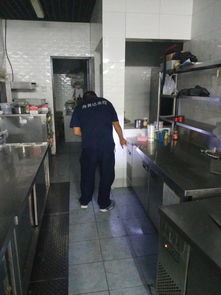 專業(yè)高效，安心無(wú)憂 西城遠(yuǎn)洋風(fēng)景小區(qū)家庭上門滅蟑螂服務(wù)詳解